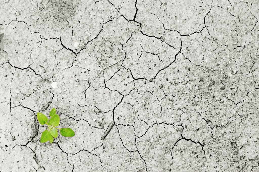 BeGlobe Die Idee mit Mehrwert Umweltzerstörung